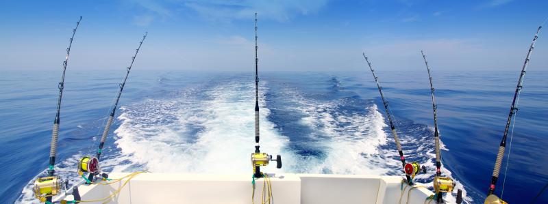 Gulf Charter Boat